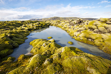 Image showing Icelandic landscape