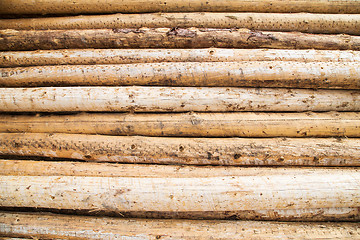 Image showing pile of logs