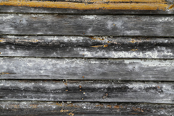 Image showing Weathered wood