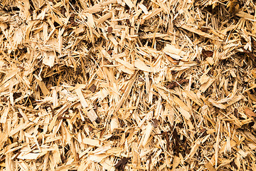 Image showing wood shavings