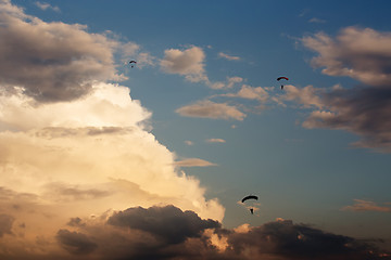 Image showing unidentified skydivers, parachutist