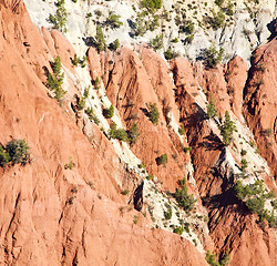 Image showing the    dades valley in atlas moroco africa ground tree  and nobo