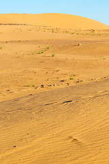 Image showing sunshine in the desert of morocco  