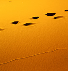 Image showing the brown sand dune in the sahara morocco desert 