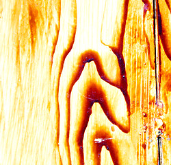 Image showing nail dirty stripped paint in the brown wood door and rusty  yell