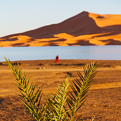 Image showing sunshine in the lake yellow  desert of morocco sand and     dune