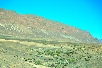 Image showing bush  in    valley  morocco     africa the atlas 