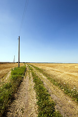 Image showing rural road . Electric pole.