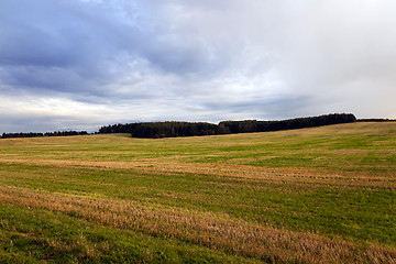 Image showing   agricultural field . sunset