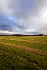 Image showing   agricultural field . sunset