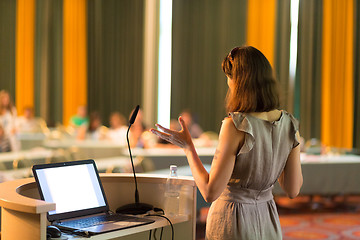 Image showing Speaker at Business Conference and Presentation.