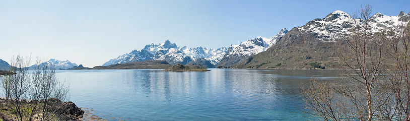 Image showing lofoten