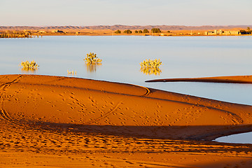 Image showing sunshine in the lake  desert 