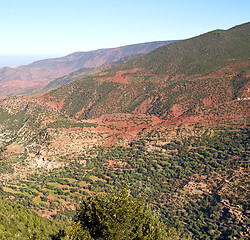 Image showing the    dades valley in atlas moroco africa ground tree  and nobo