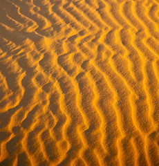 Image showing the brown sand dune in the sahara morocco desert 