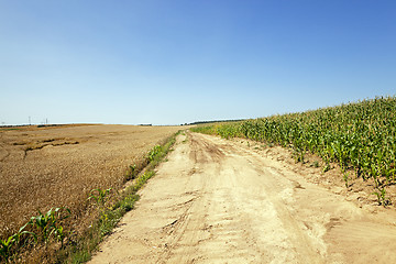 Image showing rural sandy road  