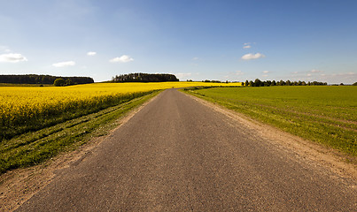 Image showing the asphalted road  