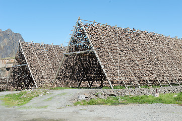 Image showing stockfish