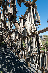 Image showing stockfish