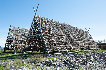 Image showing stockfish