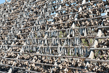 Image showing stockfish