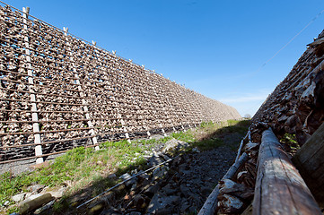 Image showing stockfish