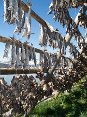 Image showing stockfish