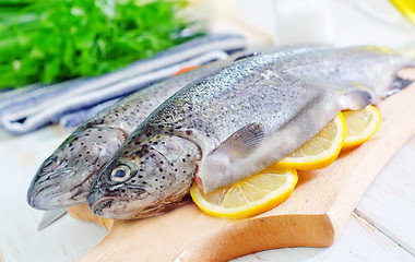 Image showing raw fish