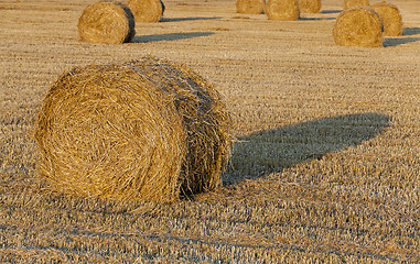 Image showing straw stack  . cereals