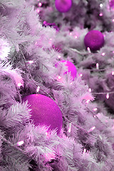 Image showing christmas tree background