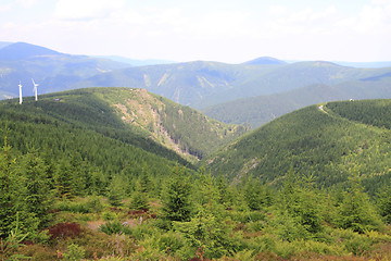 Image showing czech forest country (Jeseniky mountains)