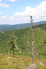 Image showing czech forest country (Jeseniky mountains)