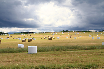 Image showing czech country with straw bales