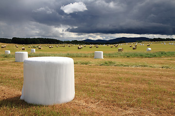 Image showing czech country with straw bales