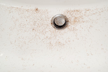 Image showing sink after shave