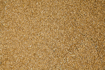 Image showing wheat grains .  harvesting