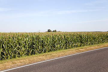 Image showing part of the paved road 