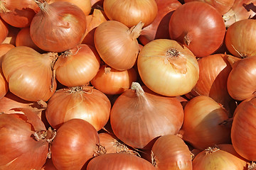 Image showing Big pile of onions