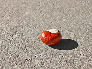 Image showing Chestnut fruit on the asphalt 