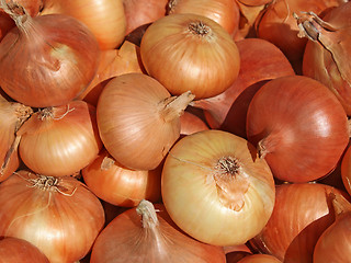 Image showing Heap of onions