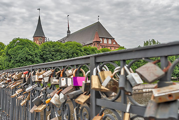 Image showing Locks of love on Medovy Bridge. Kaliningrad.Russia