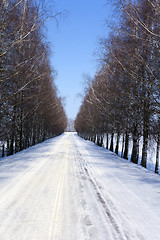 Image showing winter road  . birch 
