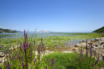 Image showing the lake . Montenegro 