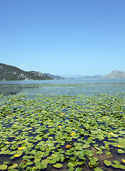 Image showing the lake. Montenegro