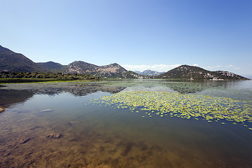 Image showing the lake . summertime of year