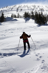 Image showing Hiker in winter mountains at sunny windy day