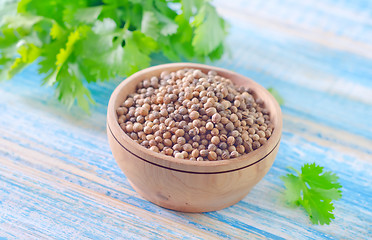 Image showing coriander