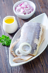 Image showing herring