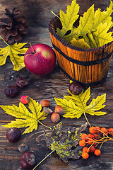 Image showing still-life autumn leaves