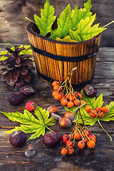 Image showing still-life autumn leaves